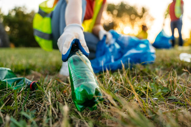Best Carpet Removal and Disposal  in Orchard City, CO